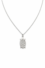 Colar com Pingente de Tartaruga Prateado em Aço Inoxidável Romanely
